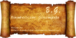 Baumholczer Giszmunda névjegykártya